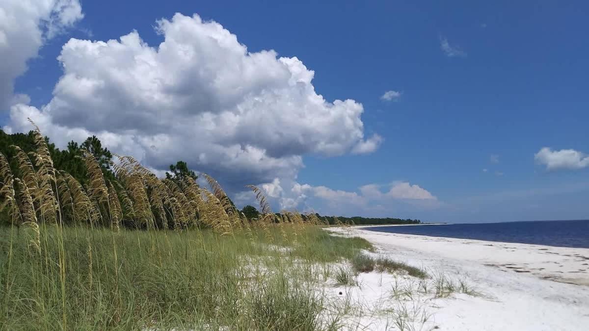 Old Carrabelle Hotel Hemingway Suite Екстериор снимка